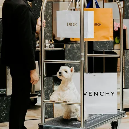 酒店 巴黎凡多姆万丽酒店 5*